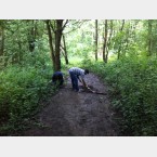 Footpath work at Clough Field Woods