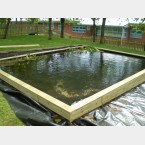 Pond nearly finished - done by Andrew at the School