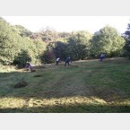 Hay Raking in the Gleadless Valley