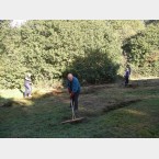 Hay Raking in Gleadless Valley