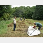 Hay Raking