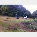 Hay Raking in the Gleadless Valley