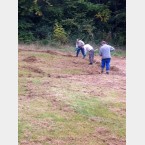 Hay Raking in the Gleadless Valley