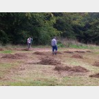 Hay Raking in the Gleadless Valley