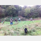 Hayraking in the Gleadlees Valley