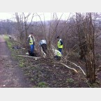 Making a start on the hedgelaying