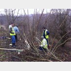 The hedge was done in sections as there were several of us