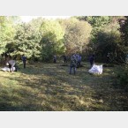 Hay Raking in the Gleadless Valley