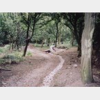 This is a side path which we did by hand. We're putting in some drainage above the path