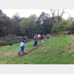 Hay raking in the Gleadless Valley