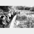 Abbeydale Hall Wildlife Garden