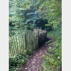 The dead hedge replaced the chestnut paling fence