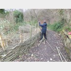 Continuing with the weaving slowly building the hurdle up in height