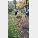 Clearing the footpath