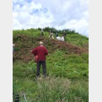 There was a thick mat of dead bracken that was removed