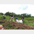 Some were raking, others pulling the bracken and some removing it from the site
