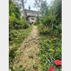 Part way through clearing the path edge near the Nursery