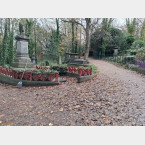 Cemetery path before clearing