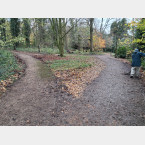 Another path nearly cleared