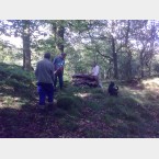 Starting a log pile