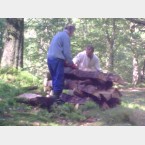 the finished log pile