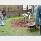 Digging out pond and enormous tree root